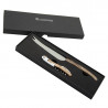 Coffret cadeau couteau et tire bouchon laguiole