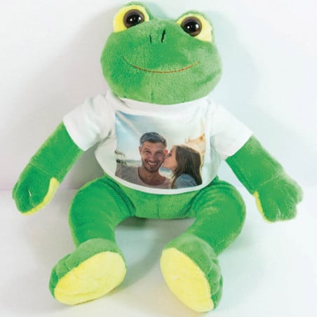 28 meilleures idées sur kermit la grenouille