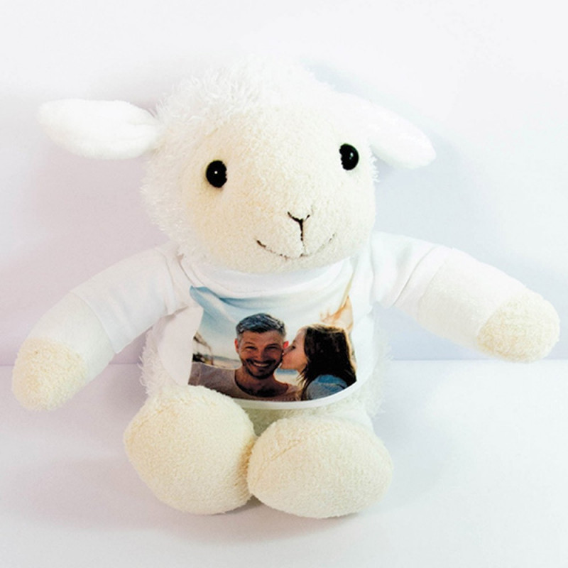 Ocadeau Lapin en Peluche personnalisé Photo – Peluche Lapin avec Tee Shirt  imprimé Photo – Peluche Lapin Personnalisable : : Jeux et Jouets