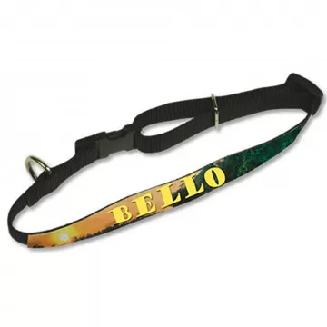 Collier pour chiens personnalisable