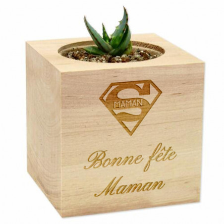 Ecocube personnalisé avec plante