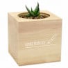 Gravure personnalisée sur cube bois avec plante