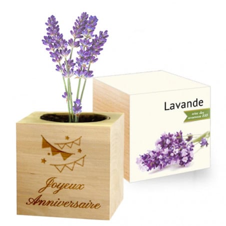 Ecocube lavande gravé