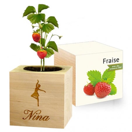 Ecocube fraise gravé