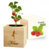 Ecocube fraise gravé