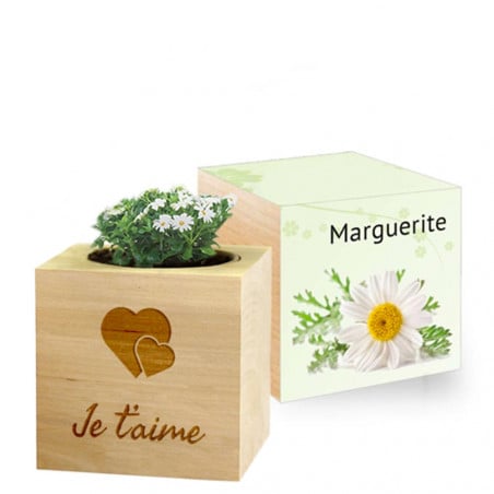 Ecocube marguerite gravé