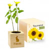 Ecocube tournesol gravé