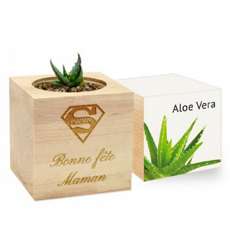 Ecocube aloe vera gravé