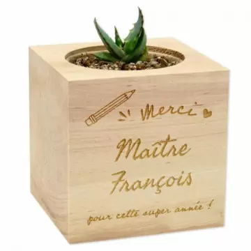 Ecocube en bois de décoration personnalisé pour maitresse école