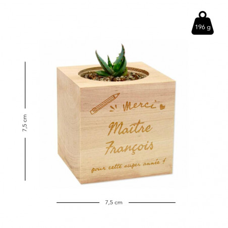 Taille de l'écocube en bois maitresse