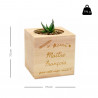 Taille de l'écocube en bois maitresse