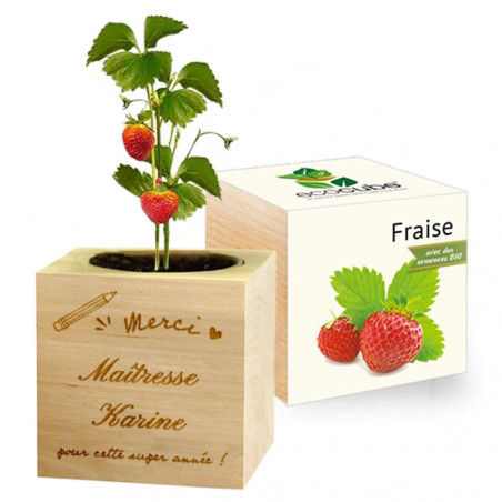 Ecocube fraise maitresse personnalisé