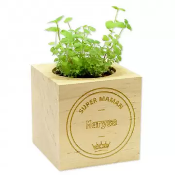 Cube en bois plante personnalisé pour maman | Cadeau maman unique