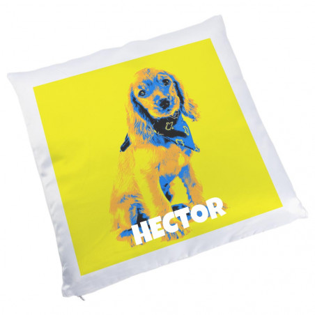 Coussin Pop Art personnalisé