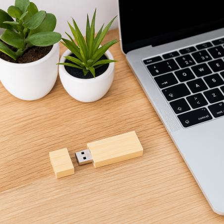 Clé USB 32 Go personnalisé