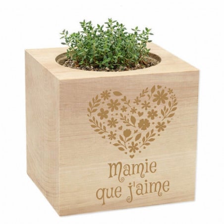 ecocube thym pour mamie