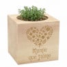 ecocube thym pour mamie
