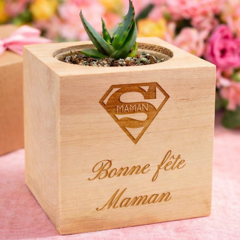 Eco cube en bois personnalisé avec plante