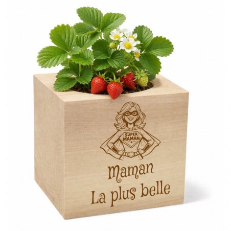 Ecocube fraise personnalisé
