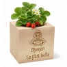 Ecocube fraise personnalisé