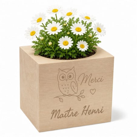 Ecocube marguerite personnalisé