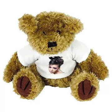 Peluche barney photo pour petits et grands