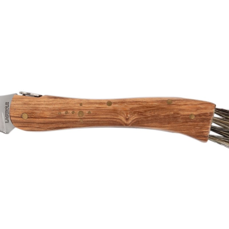 Couteau champignon gravé